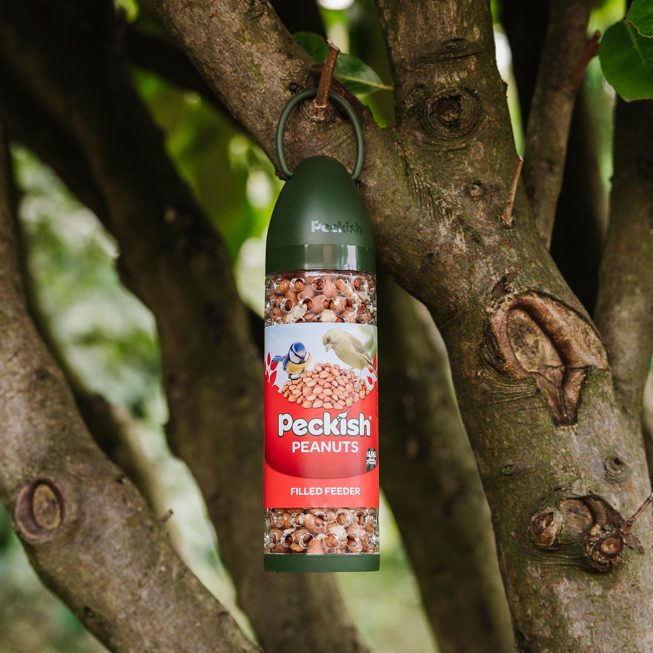 Peckish - Filled Peanut Feeder