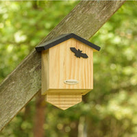 Thumbnail for National Trust - Arundel Bat Box