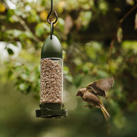 Thumbnail for Peckish - Filled Sunflower Hearts 2 Port Seed Feeder
