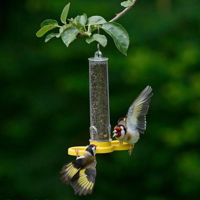 Goldfinch Finder - Ready-Filled 2 Port Nyjer Feeder