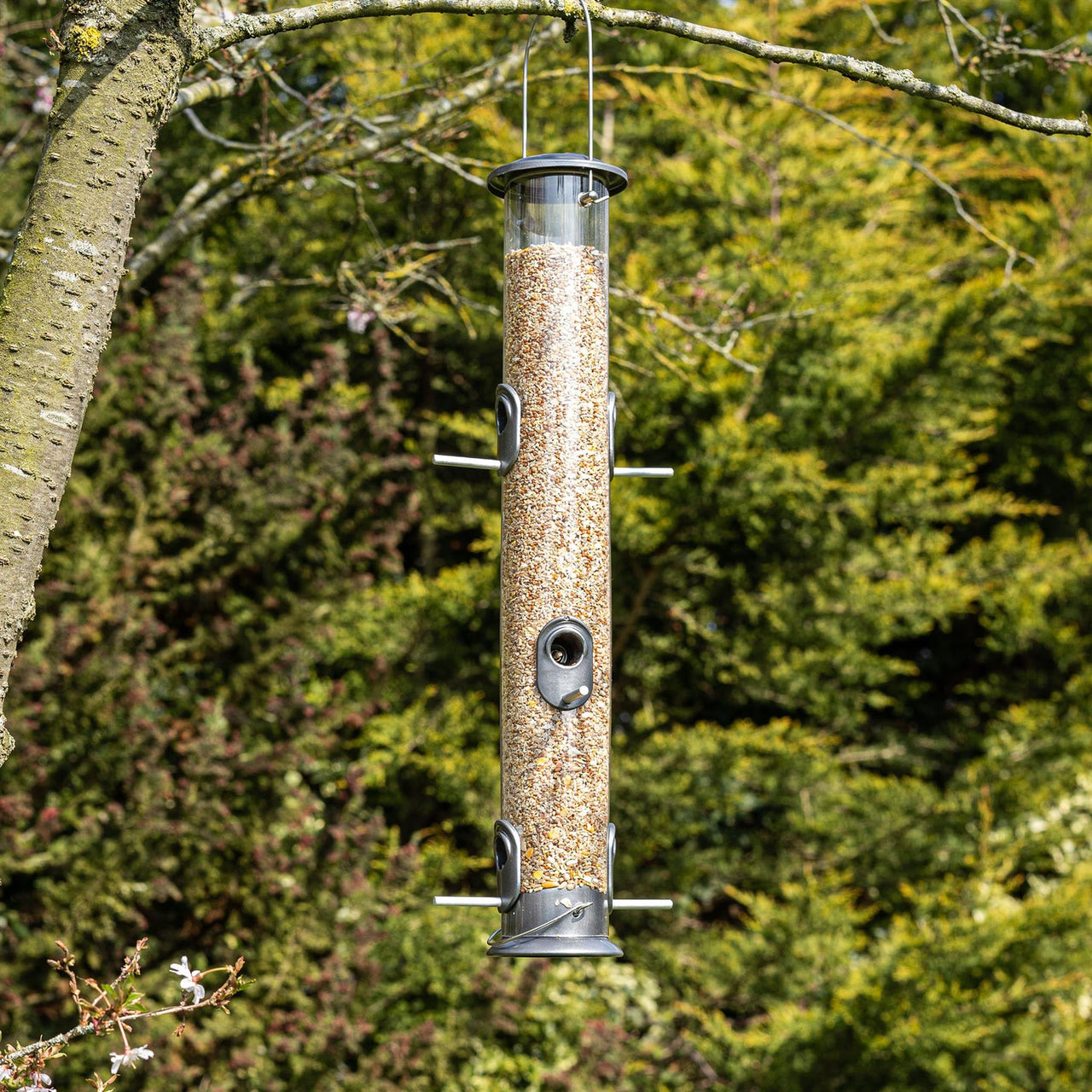 Peckish - All Weather 6 Port Seed Feeder