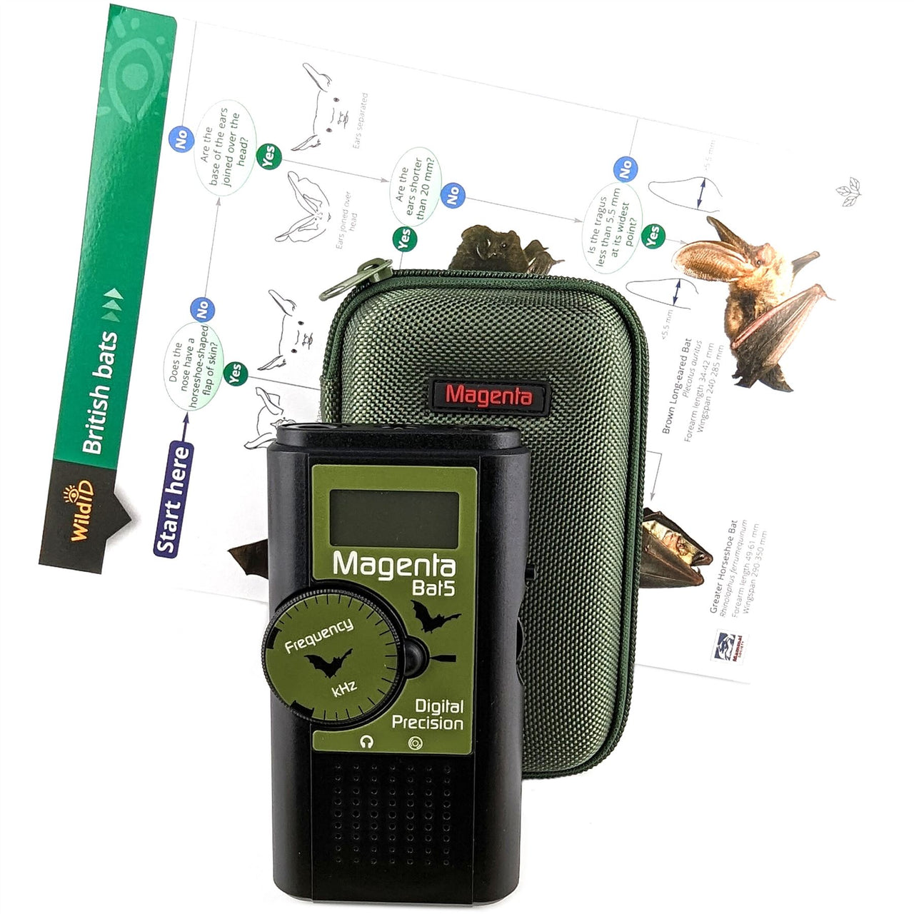 Magenta - Bat5 Bat Detector with Case and Guide