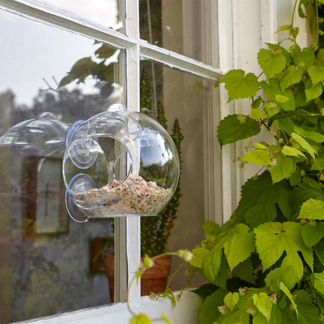 Peckish - Globe Window Feeder Tray