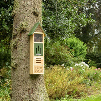 Thumbnail for National Trust - Insect Tower