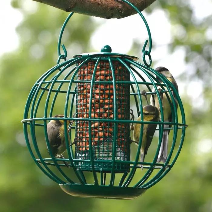 CJ Wildlife - London Squirrel Resistant Peanut Feeder