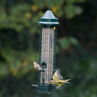 Thumbnail for Squirrel Buster - Classic 4 Port Seed Feeder