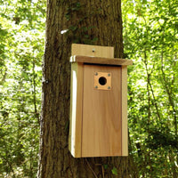 Thumbnail for Nest Box Protection Plate for 26mm hole (1)
