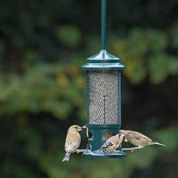 Thumbnail for Squirrel Buster - 4 Port Seed Feeder