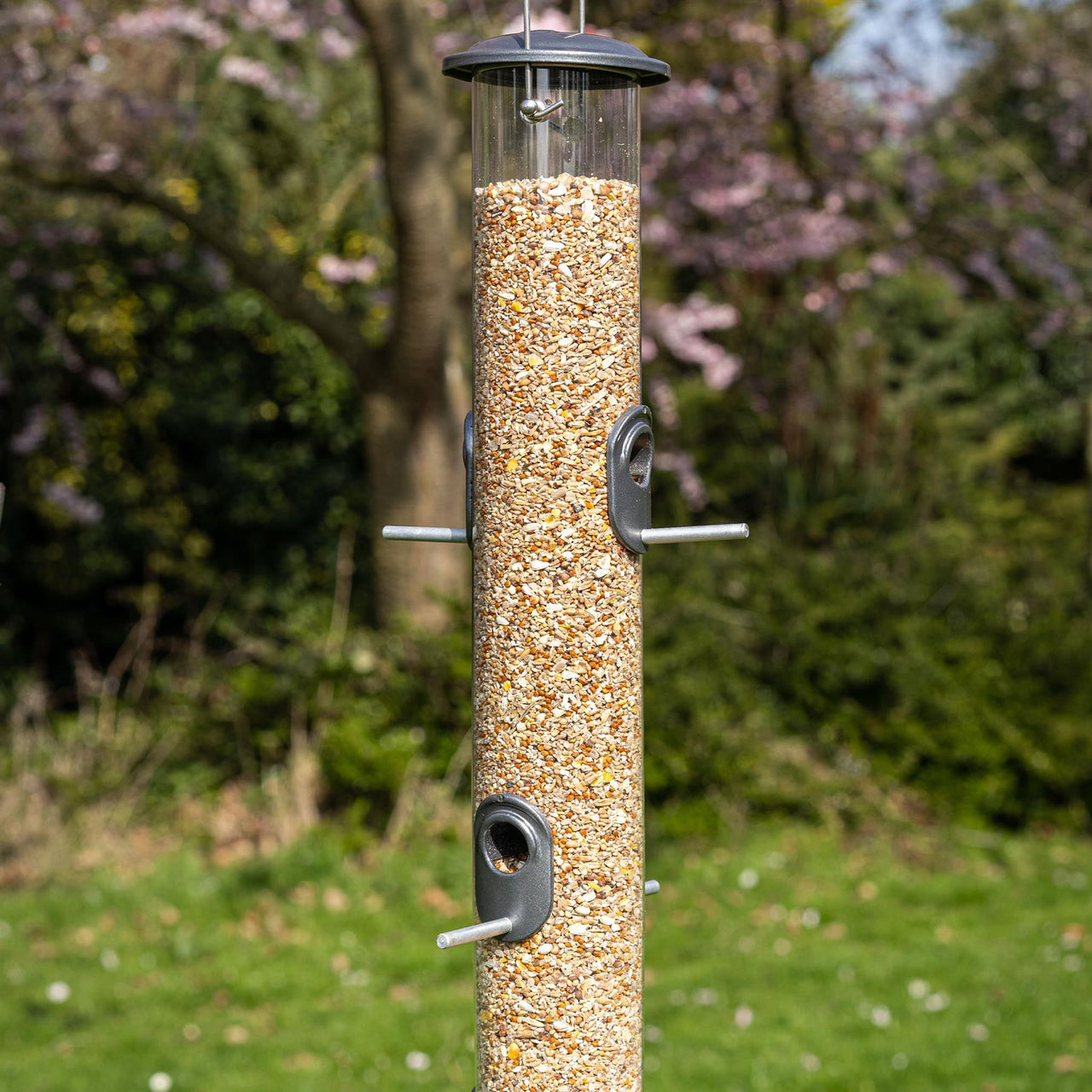 Peckish - All Weather 6 Port Seed Feeder
