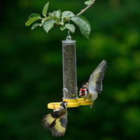 Thumbnail for Goldfinch Finder - Ready-Filled 2 Port Nyjer Feeder
