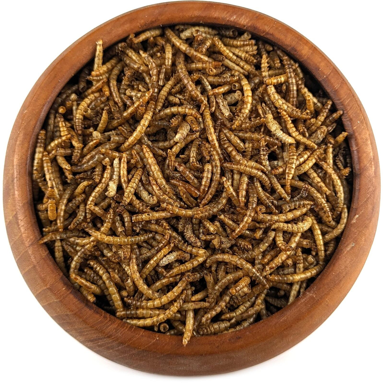 Dried Meal Worms, Loose