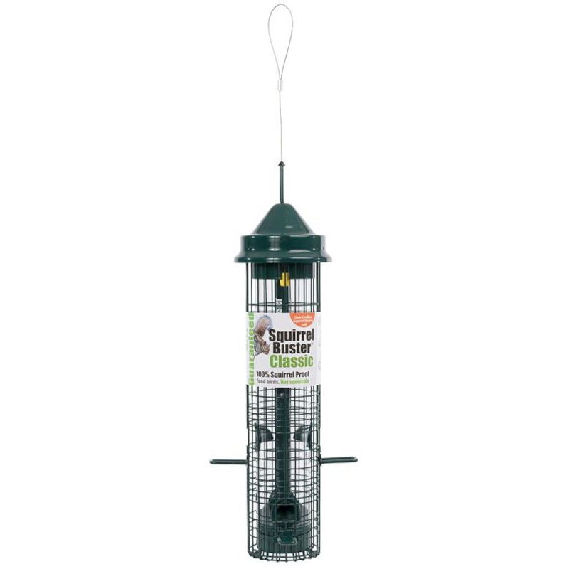 Squirrel Buster - Classic 4 Port Seed Feeder