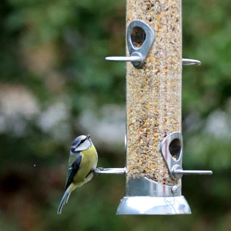 Henry Bell - Sterling Grand 8 Port Seed Feeder