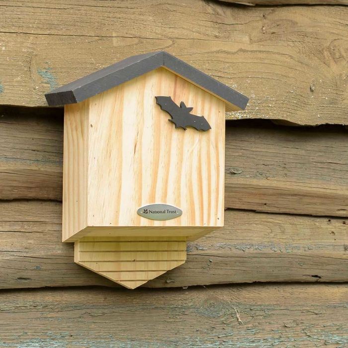 National Trust - Arundel Bat Box – New Forest Bird Foods