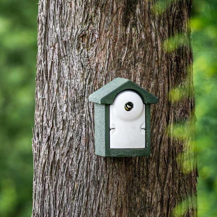 National Trust - WoodStone 32mm Nest Box