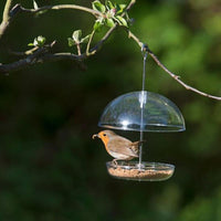 Thumbnail for I Love Robins - Pearl Suet & Mealworm Feeder