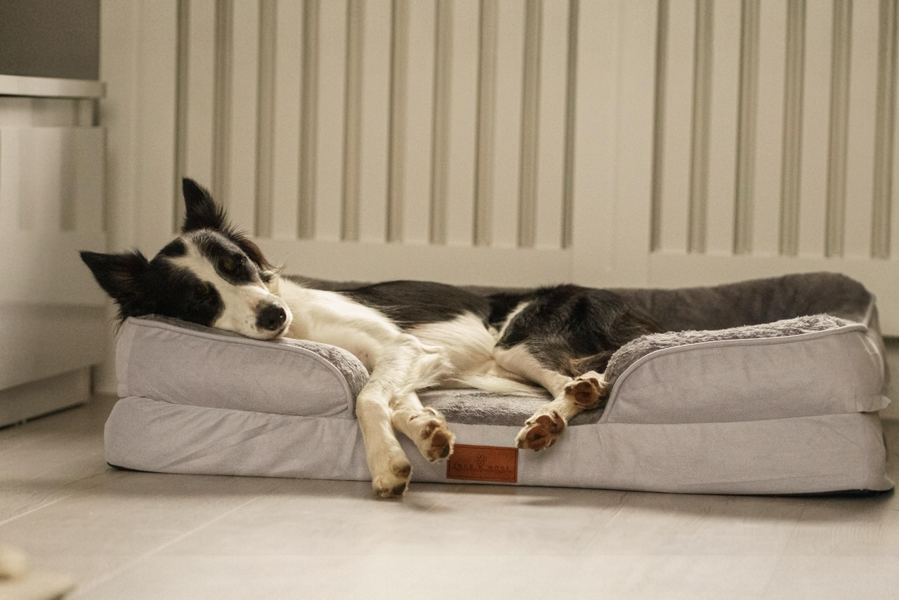 The Belgravia Orthopaedic Dog Sofa™ - Large