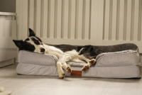 Thumbnail for The Belgravia Orthopaedic Dog Sofa™ - Large