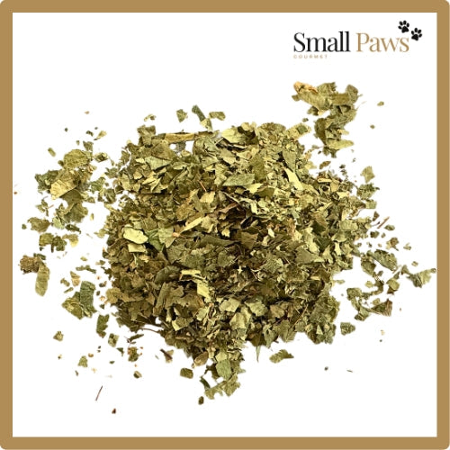 Birchleaf (Delivery Only)