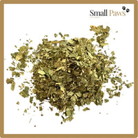 Thumbnail for Birchleaf (Delivery Only)