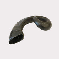 Thumbnail for Buffalo Horns