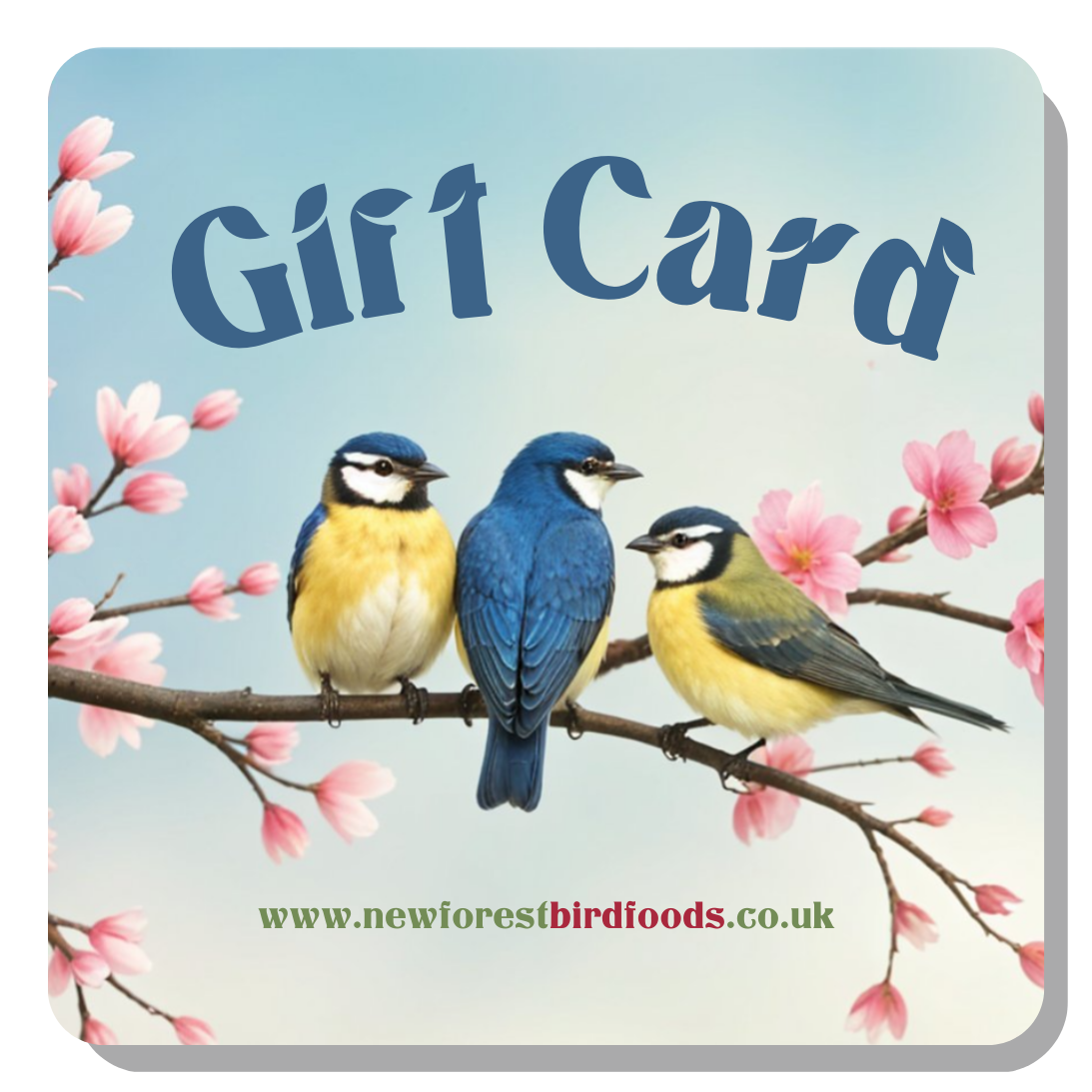 New Forest Bird Foods Gift Card