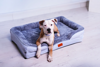 Thumbnail for The Belgravia Orthopaedic Dog Sofa™ - Large