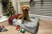 Thumbnail for The Belgravia Orthopaedic Dog Sofa™ - Medium