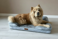 Thumbnail for The Belgravia Orthopaedic Dog Sofa™ - Xl