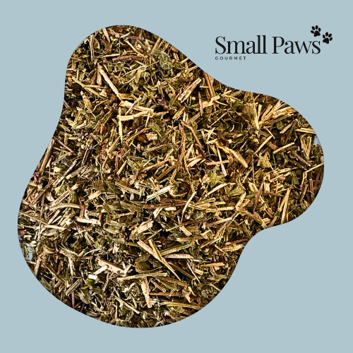 Lemon Balm (Delivery Only)