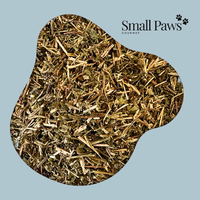 Thumbnail for Lemon Balm (Delivery Only)