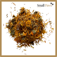 Thumbnail for Marigold (Delivery Only)