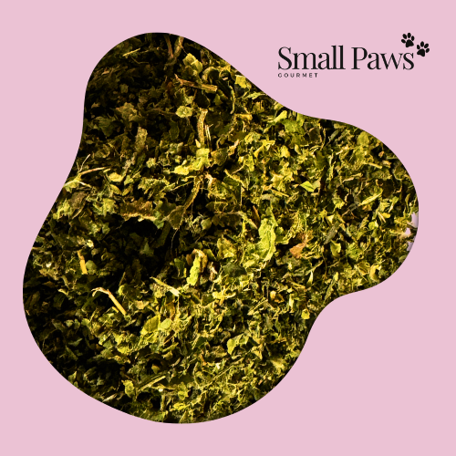 Nettle (Delivery Only)