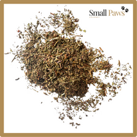 Thumbnail for Red Clover (Delivery Only)