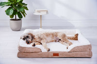 Thumbnail for The Belgravia Orthopaedic Dog Sofa™ - Large