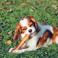 Thumbnail for Sausage Rolls