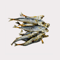 Thumbnail for Little Fishies