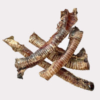 Thumbnail for Trachea - 30cm