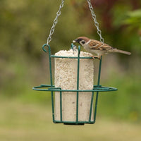 Thumbnail for National Trust Insect Peanut Cake, 1ltr Tub