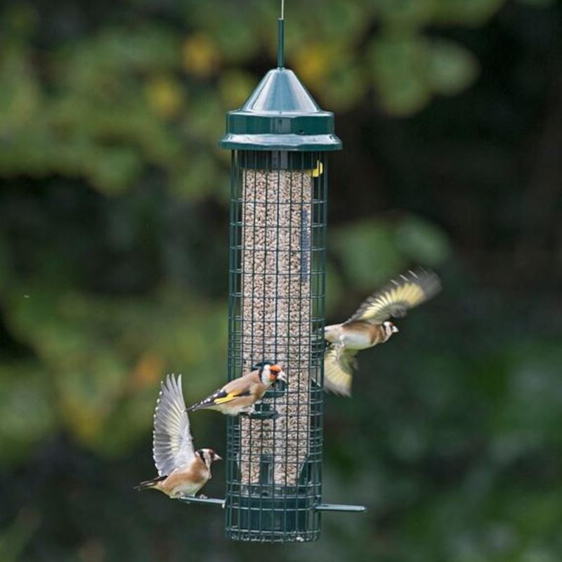 Squirrel Buster - Classic 4 Port Seed Feeder