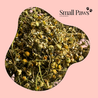 Thumbnail for Chamomile Flower (Delivery Only)