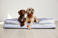 Thumbnail for The Belgravia Orthopaedic Dog Sofa™ - Xl