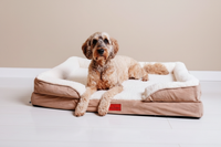 Thumbnail for The Belgravia Orthopaedic Dog Sofa™ - Xl