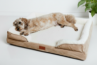 Thumbnail for The Belgravia Orthopaedic Dog Sofa™ - Xl