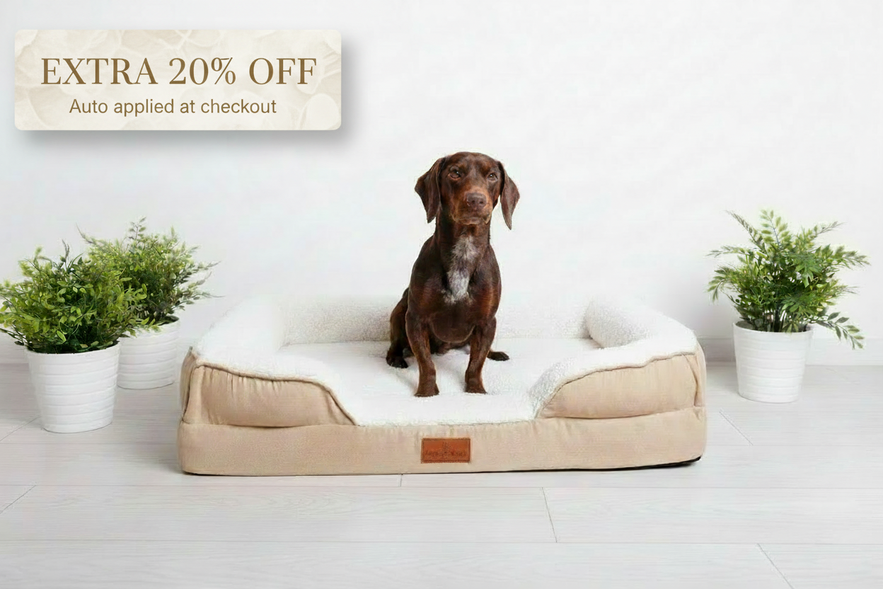 The Belgravia Orthopaedic Dog Sofa™ - Medium