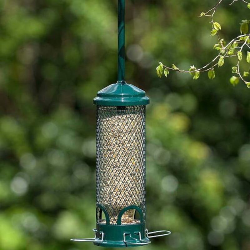 Squirrel Buster - Mini 4 Port Seed Feeder