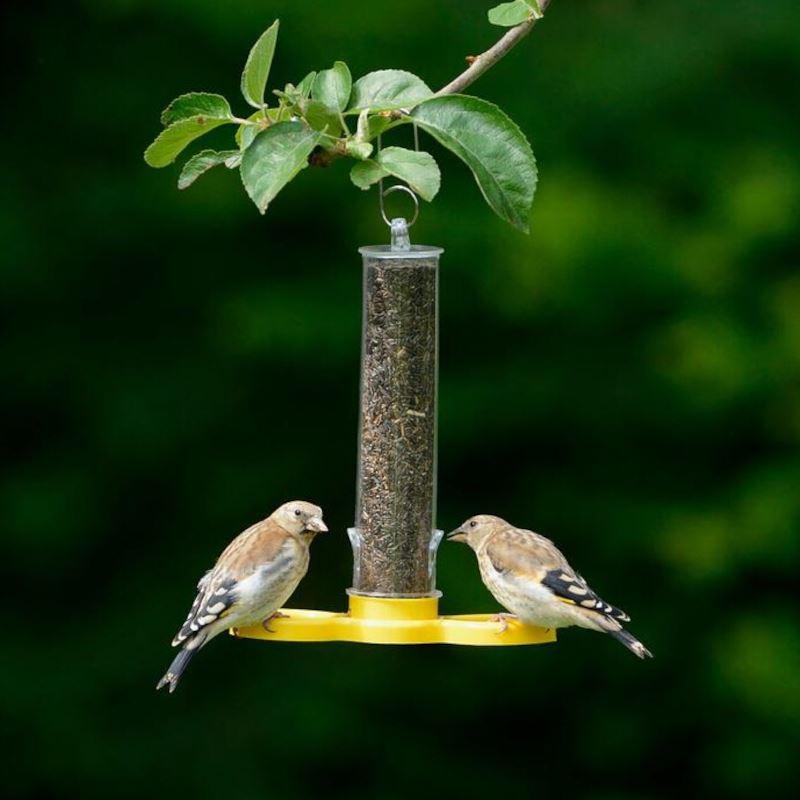 Goldfinch Finder - Ready-Filled 2 Port Nyjer Feeder