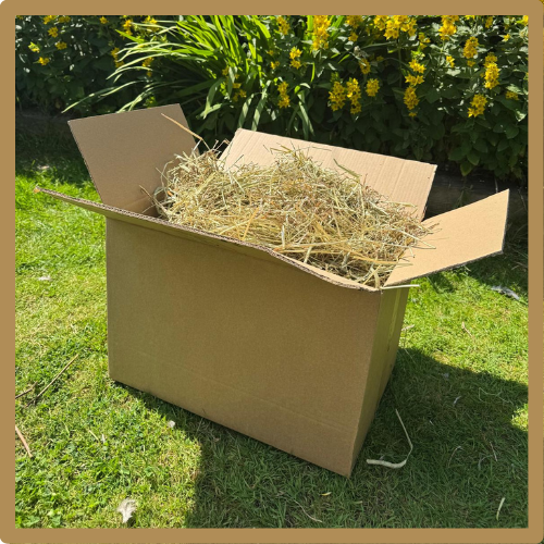 Timothy Hay (Delivery Only)