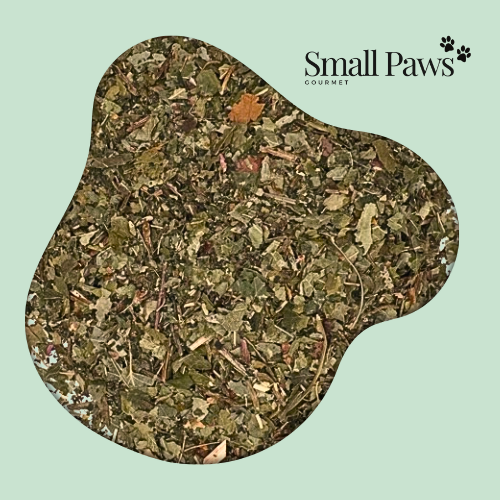 Leaf Salad Medley (Delivery Only)