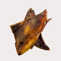 Thumbnail for 'Moon' Bones